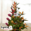 Arreglo Floral con Heliconias, Aves del Paraíso + Cerveza